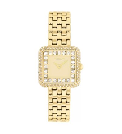 Đồng Hồ Nữ Coach Cass 14504559 24mm
