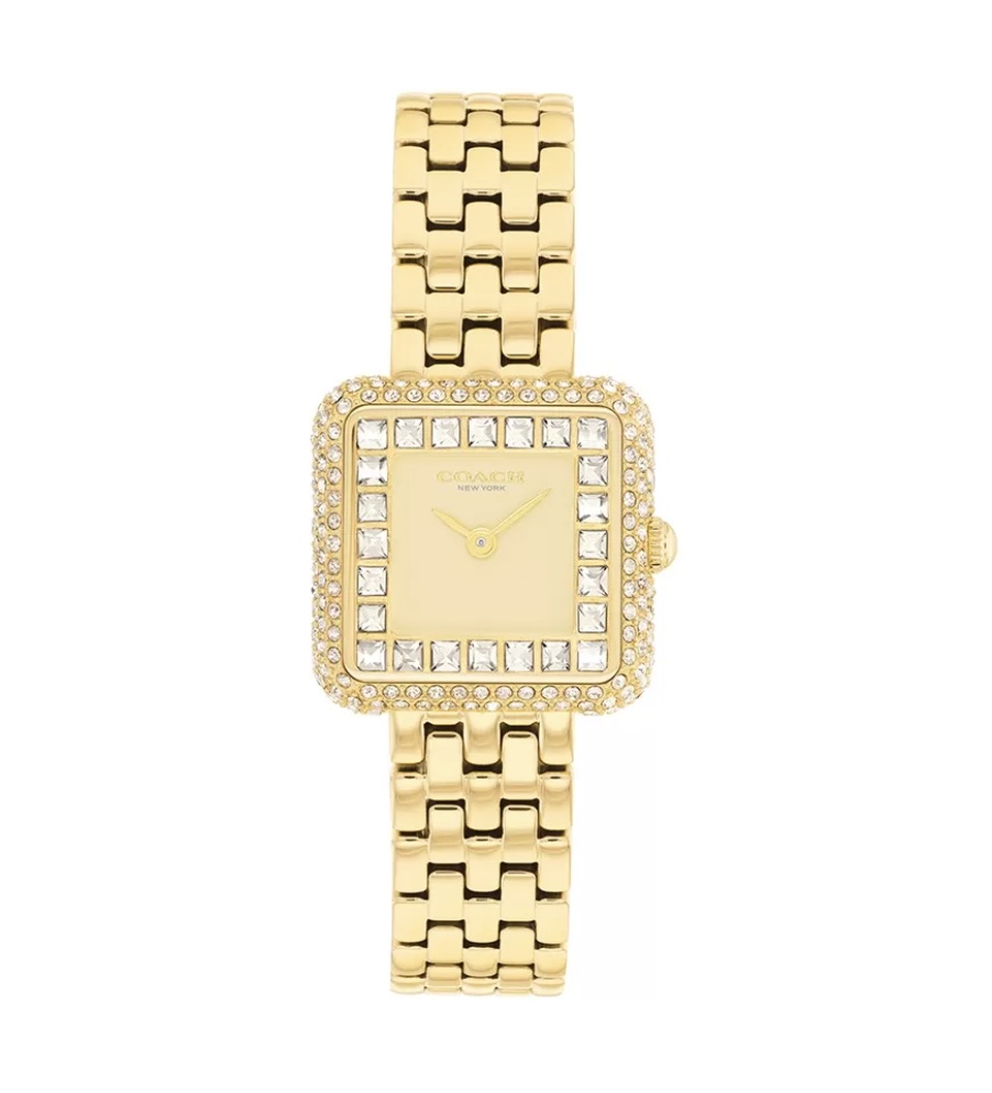 Đồng Hồ Nữ Coach Cass 14504559 24mm